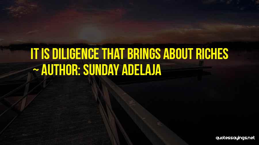 Sunday Adelaja Quotes: It Is Diligence That Brings About Riches