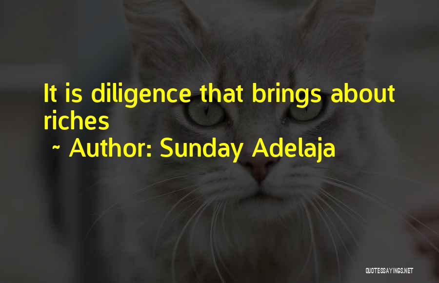 Sunday Adelaja Quotes: It Is Diligence That Brings About Riches