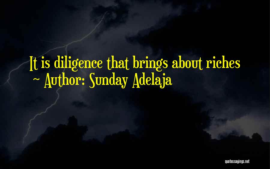 Sunday Adelaja Quotes: It Is Diligence That Brings About Riches