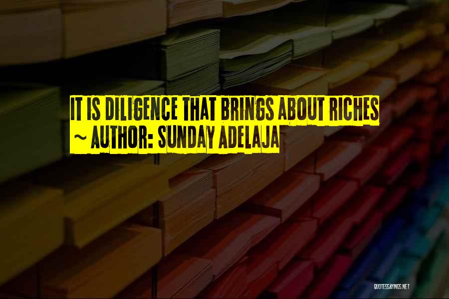 Sunday Adelaja Quotes: It Is Diligence That Brings About Riches