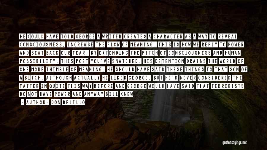 Don DeLillo Quotes: He Could Have Told George A Writer Creates A Character As A Way To Reveal Consciousness, Increase The Flow Of