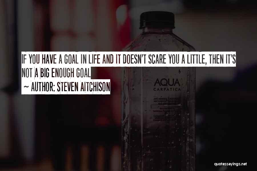 Steven Aitchison Quotes: If You Have A Goal In Life And It Doesn't Scare You A Little, Then It's Not A Big Enough