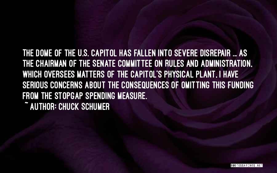 Chuck Schumer Quotes: The Dome Of The U.s. Capitol Has Fallen Into Severe Disrepair ... As The Chairman Of The Senate Committee On