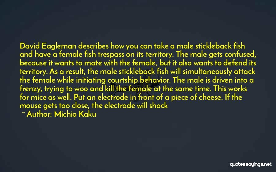 Michio Kaku Quotes: David Eagleman Describes How You Can Take A Male Stickleback Fish And Have A Female Fish Trespass On Its Territory.
