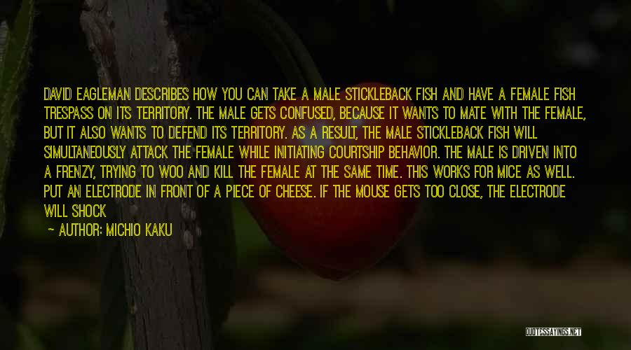 Michio Kaku Quotes: David Eagleman Describes How You Can Take A Male Stickleback Fish And Have A Female Fish Trespass On Its Territory.