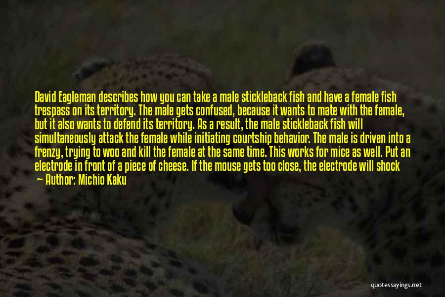 Michio Kaku Quotes: David Eagleman Describes How You Can Take A Male Stickleback Fish And Have A Female Fish Trespass On Its Territory.