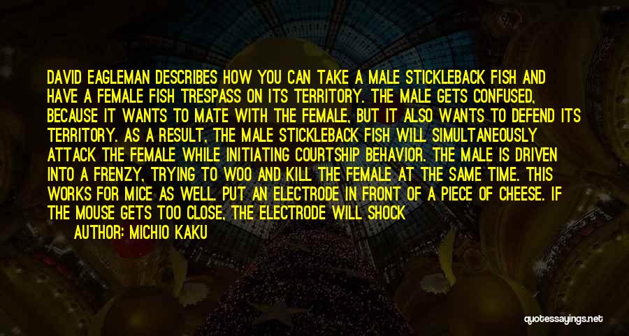 Michio Kaku Quotes: David Eagleman Describes How You Can Take A Male Stickleback Fish And Have A Female Fish Trespass On Its Territory.