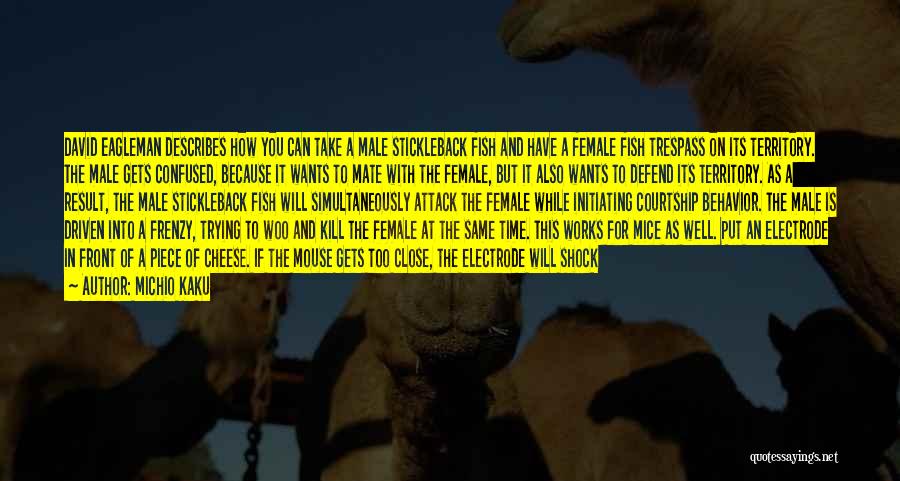 Michio Kaku Quotes: David Eagleman Describes How You Can Take A Male Stickleback Fish And Have A Female Fish Trespass On Its Territory.