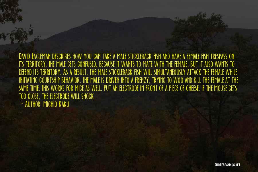 Michio Kaku Quotes: David Eagleman Describes How You Can Take A Male Stickleback Fish And Have A Female Fish Trespass On Its Territory.