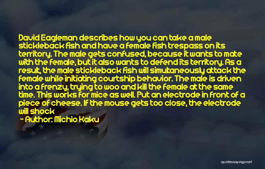 Michio Kaku Quotes: David Eagleman Describes How You Can Take A Male Stickleback Fish And Have A Female Fish Trespass On Its Territory.