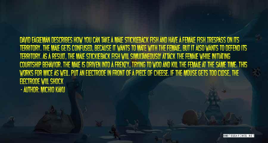 Michio Kaku Quotes: David Eagleman Describes How You Can Take A Male Stickleback Fish And Have A Female Fish Trespass On Its Territory.