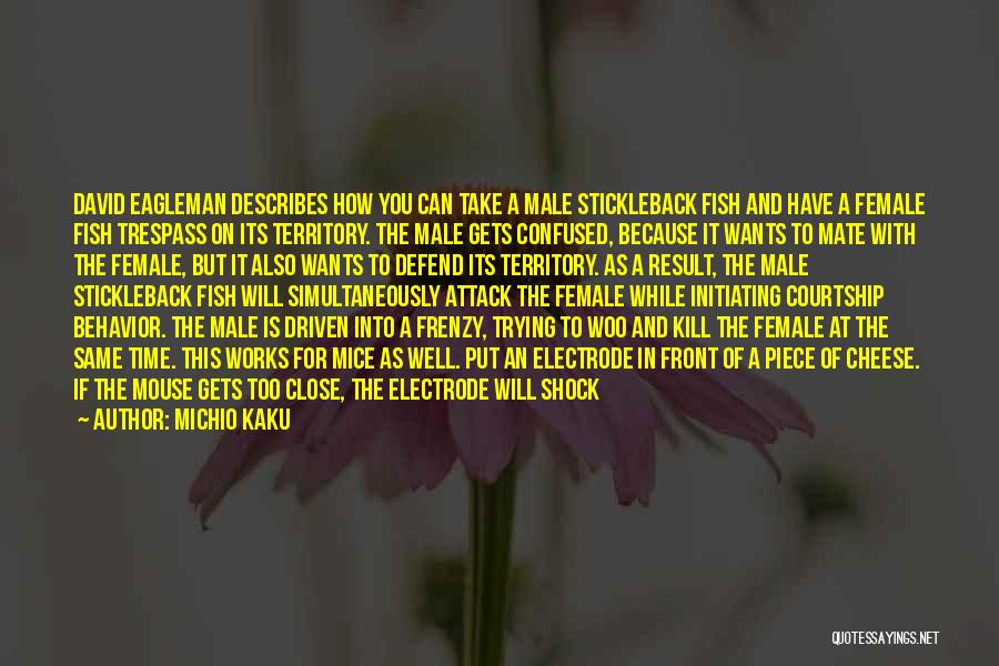 Michio Kaku Quotes: David Eagleman Describes How You Can Take A Male Stickleback Fish And Have A Female Fish Trespass On Its Territory.