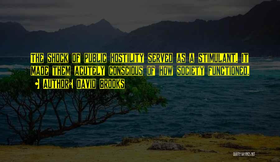 David Brooks Quotes: The Shock Of Public Hostility Served As A Stimulant. It Made Them Acutely Conscious Of How Society Functioned.