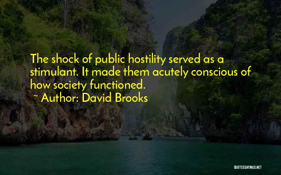 David Brooks Quotes: The Shock Of Public Hostility Served As A Stimulant. It Made Them Acutely Conscious Of How Society Functioned.
