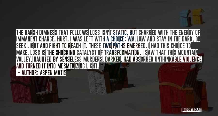 Aspen Matis Quotes: The Harsh Dimness That Follows Loss Isn't Static, But Charged With The Energy Of Immanent Change. Hurt, I Was Left