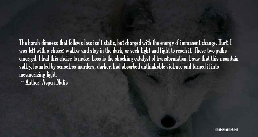 Aspen Matis Quotes: The Harsh Dimness That Follows Loss Isn't Static, But Charged With The Energy Of Immanent Change. Hurt, I Was Left