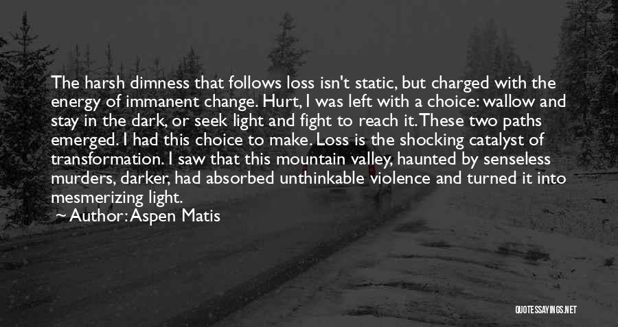 Aspen Matis Quotes: The Harsh Dimness That Follows Loss Isn't Static, But Charged With The Energy Of Immanent Change. Hurt, I Was Left