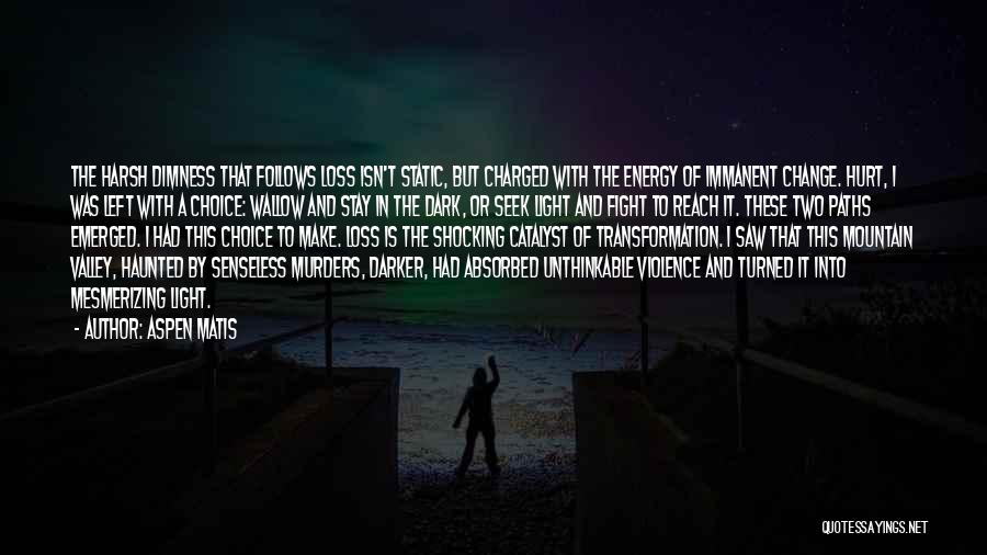 Aspen Matis Quotes: The Harsh Dimness That Follows Loss Isn't Static, But Charged With The Energy Of Immanent Change. Hurt, I Was Left