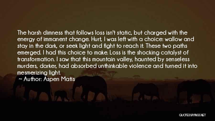 Aspen Matis Quotes: The Harsh Dimness That Follows Loss Isn't Static, But Charged With The Energy Of Immanent Change. Hurt, I Was Left