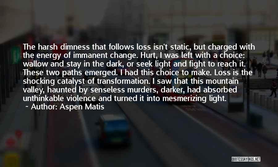 Aspen Matis Quotes: The Harsh Dimness That Follows Loss Isn't Static, But Charged With The Energy Of Immanent Change. Hurt, I Was Left