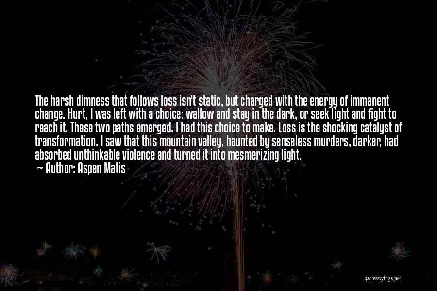 Aspen Matis Quotes: The Harsh Dimness That Follows Loss Isn't Static, But Charged With The Energy Of Immanent Change. Hurt, I Was Left