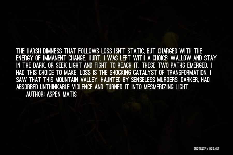 Aspen Matis Quotes: The Harsh Dimness That Follows Loss Isn't Static, But Charged With The Energy Of Immanent Change. Hurt, I Was Left