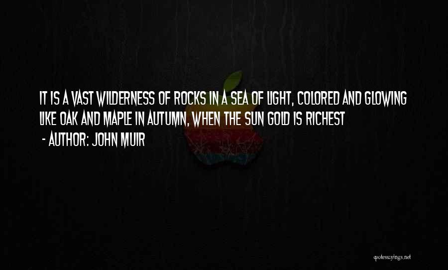 John Muir Quotes: It Is A Vast Wilderness Of Rocks In A Sea Of Light, Colored And Glowing Like Oak And Maple In