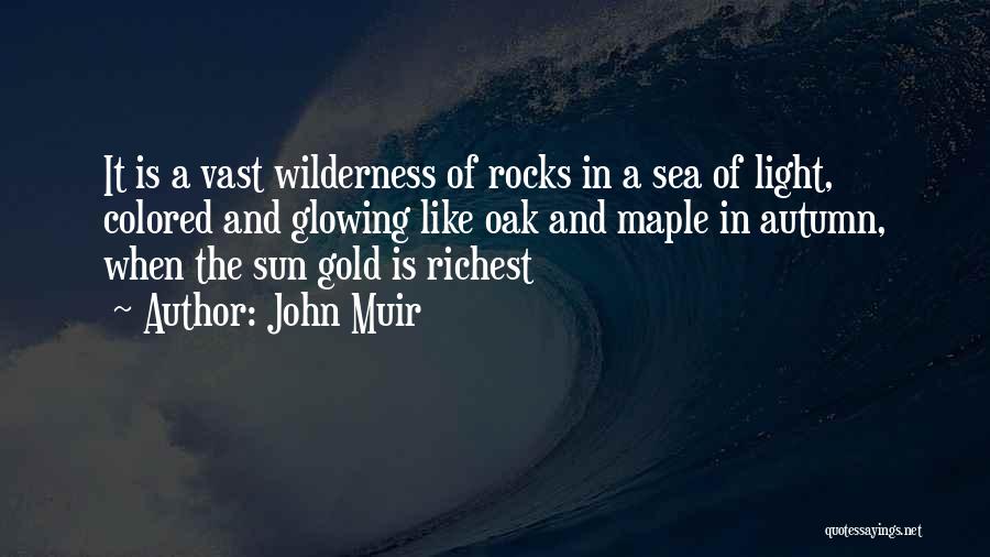 John Muir Quotes: It Is A Vast Wilderness Of Rocks In A Sea Of Light, Colored And Glowing Like Oak And Maple In