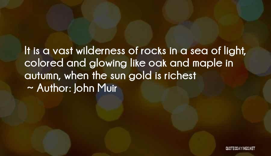 John Muir Quotes: It Is A Vast Wilderness Of Rocks In A Sea Of Light, Colored And Glowing Like Oak And Maple In