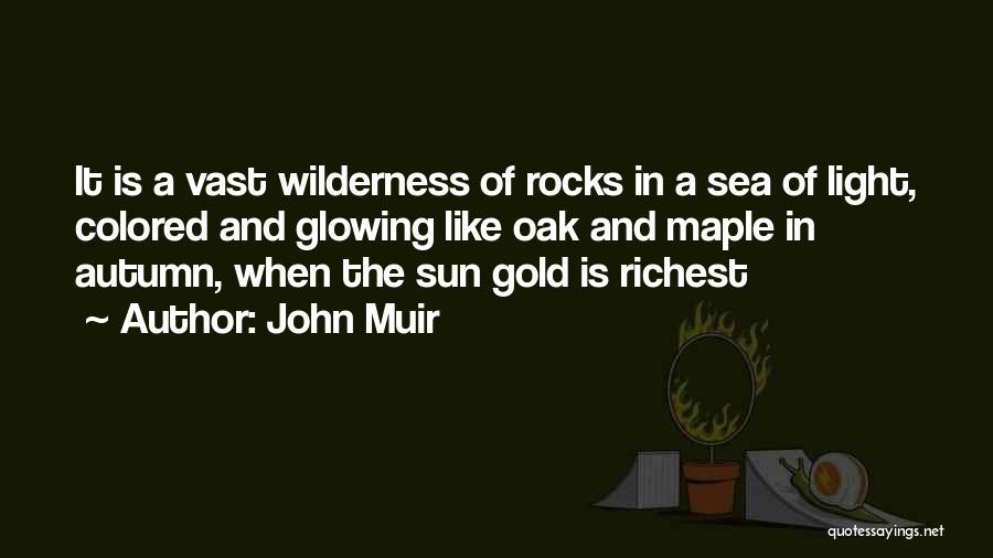 John Muir Quotes: It Is A Vast Wilderness Of Rocks In A Sea Of Light, Colored And Glowing Like Oak And Maple In