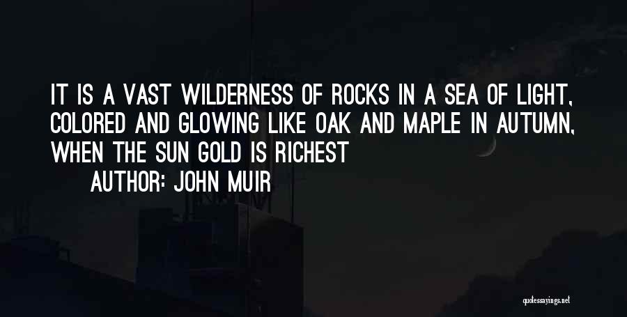 John Muir Quotes: It Is A Vast Wilderness Of Rocks In A Sea Of Light, Colored And Glowing Like Oak And Maple In