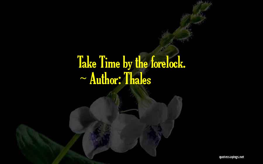 Thales Quotes: Take Time By The Forelock.