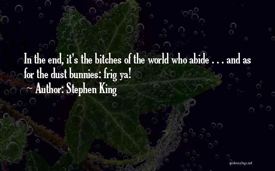 Stephen King Quotes: In The End, It's The Bitches Of The World Who Abide . . . And As For The Dust Bunnies: