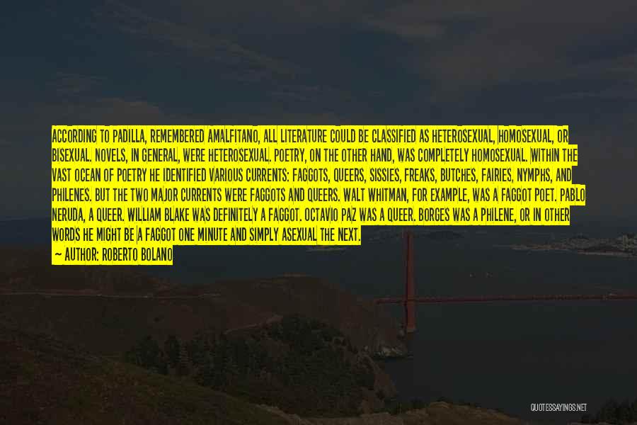 Roberto Bolano Quotes: According To Padilla, Remembered Amalfitano, All Literature Could Be Classified As Heterosexual, Homosexual, Or Bisexual. Novels, In General, Were Heterosexual.