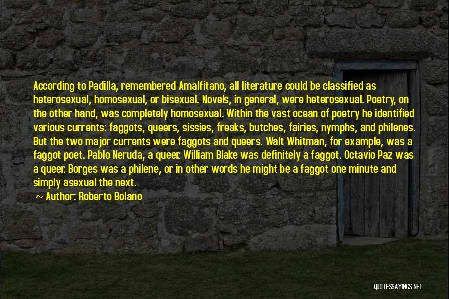 Roberto Bolano Quotes: According To Padilla, Remembered Amalfitano, All Literature Could Be Classified As Heterosexual, Homosexual, Or Bisexual. Novels, In General, Were Heterosexual.