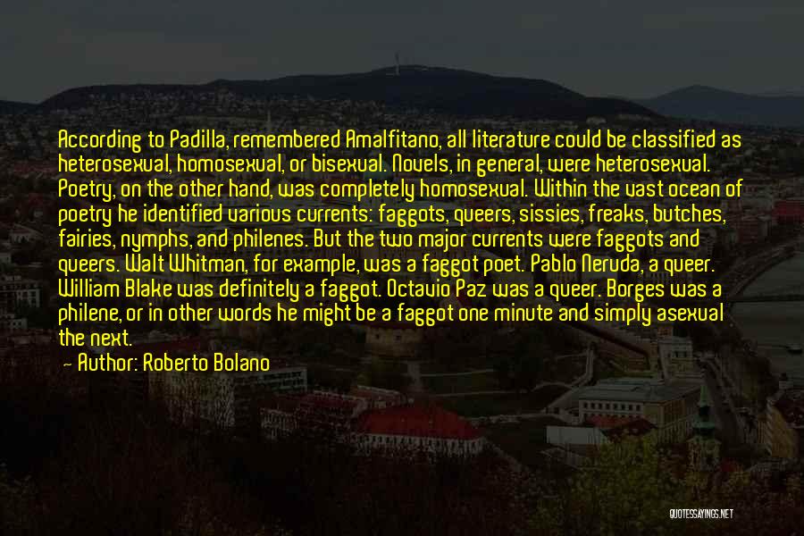 Roberto Bolano Quotes: According To Padilla, Remembered Amalfitano, All Literature Could Be Classified As Heterosexual, Homosexual, Or Bisexual. Novels, In General, Were Heterosexual.