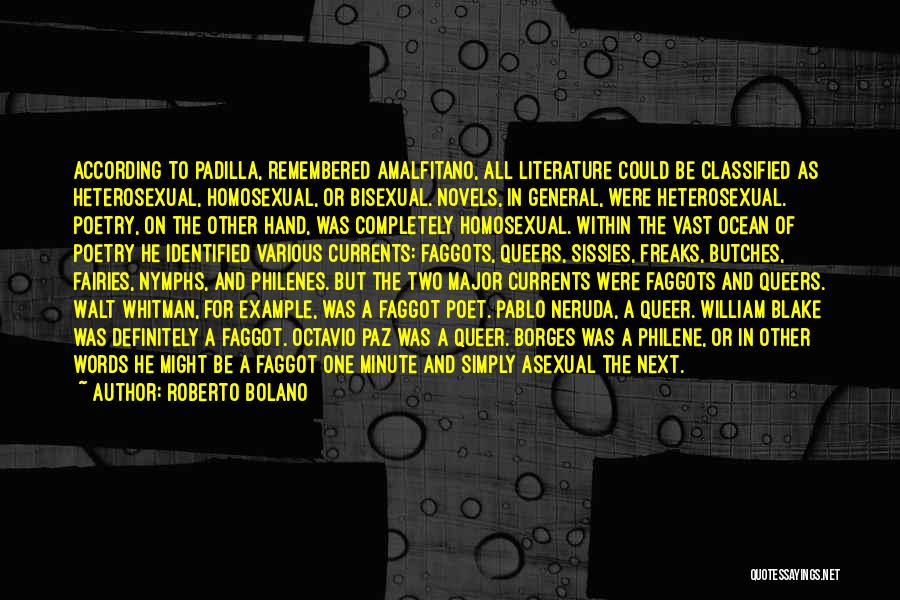 Roberto Bolano Quotes: According To Padilla, Remembered Amalfitano, All Literature Could Be Classified As Heterosexual, Homosexual, Or Bisexual. Novels, In General, Were Heterosexual.