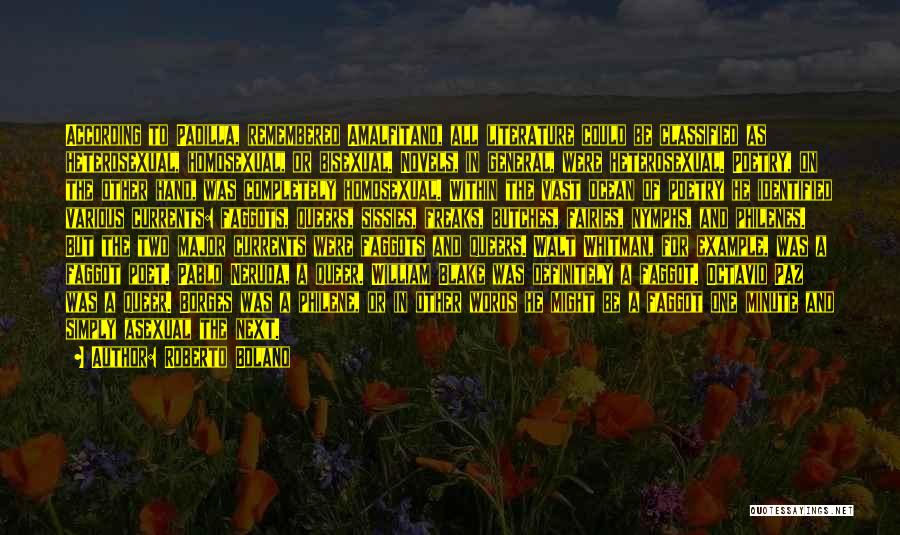 Roberto Bolano Quotes: According To Padilla, Remembered Amalfitano, All Literature Could Be Classified As Heterosexual, Homosexual, Or Bisexual. Novels, In General, Were Heterosexual.
