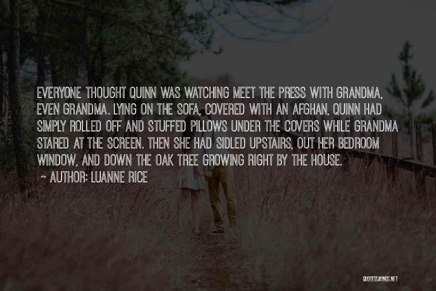 Luanne Rice Quotes: Everyone Thought Quinn Was Watching Meet The Press With Grandma, Even Grandma. Lying On The Sofa, Covered With An Afghan,