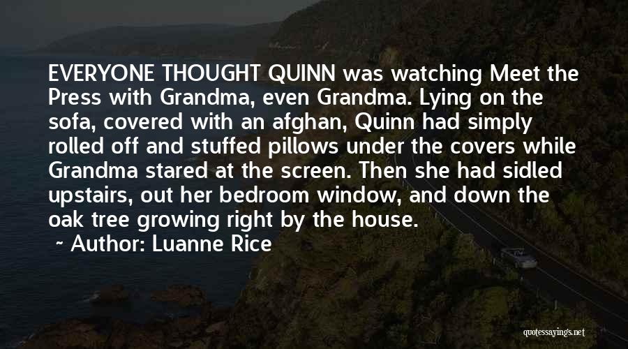 Luanne Rice Quotes: Everyone Thought Quinn Was Watching Meet The Press With Grandma, Even Grandma. Lying On The Sofa, Covered With An Afghan,