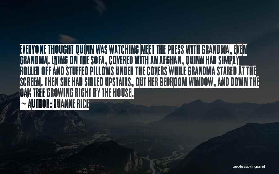 Luanne Rice Quotes: Everyone Thought Quinn Was Watching Meet The Press With Grandma, Even Grandma. Lying On The Sofa, Covered With An Afghan,