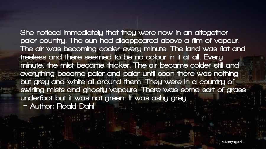Roald Dahl Quotes: She Noticed Immediately That They Were Now In An Altogether Paler Country. The Sun Had Disappeared Above A Film Of