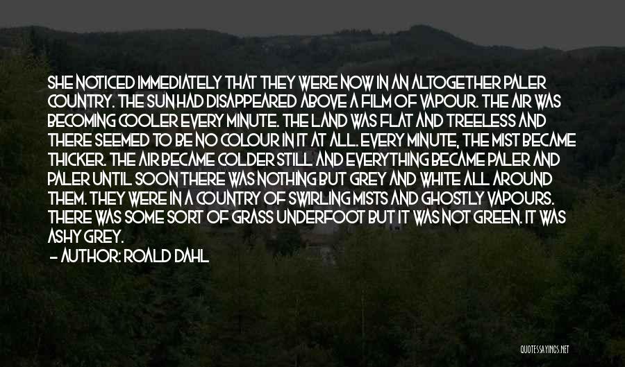 Roald Dahl Quotes: She Noticed Immediately That They Were Now In An Altogether Paler Country. The Sun Had Disappeared Above A Film Of