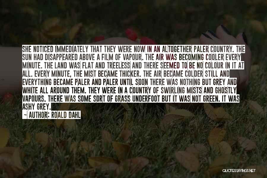 Roald Dahl Quotes: She Noticed Immediately That They Were Now In An Altogether Paler Country. The Sun Had Disappeared Above A Film Of
