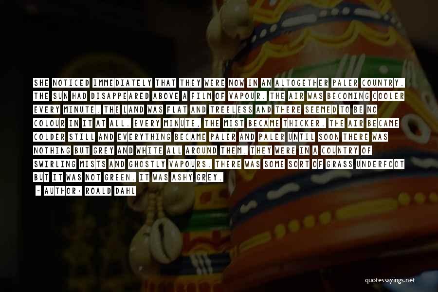 Roald Dahl Quotes: She Noticed Immediately That They Were Now In An Altogether Paler Country. The Sun Had Disappeared Above A Film Of