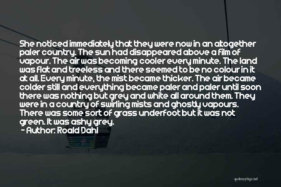 Roald Dahl Quotes: She Noticed Immediately That They Were Now In An Altogether Paler Country. The Sun Had Disappeared Above A Film Of