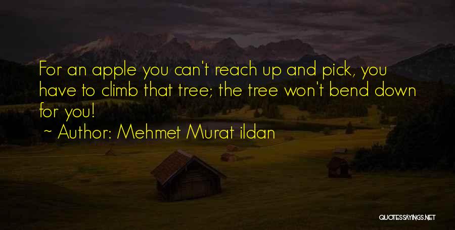 Mehmet Murat Ildan Quotes: For An Apple You Can't Reach Up And Pick, You Have To Climb That Tree; The Tree Won't Bend Down