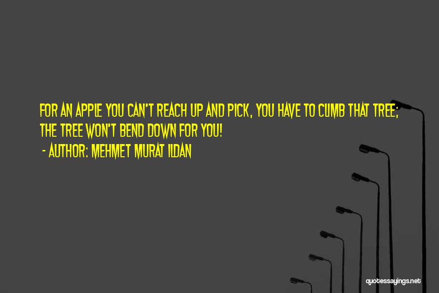 Mehmet Murat Ildan Quotes: For An Apple You Can't Reach Up And Pick, You Have To Climb That Tree; The Tree Won't Bend Down