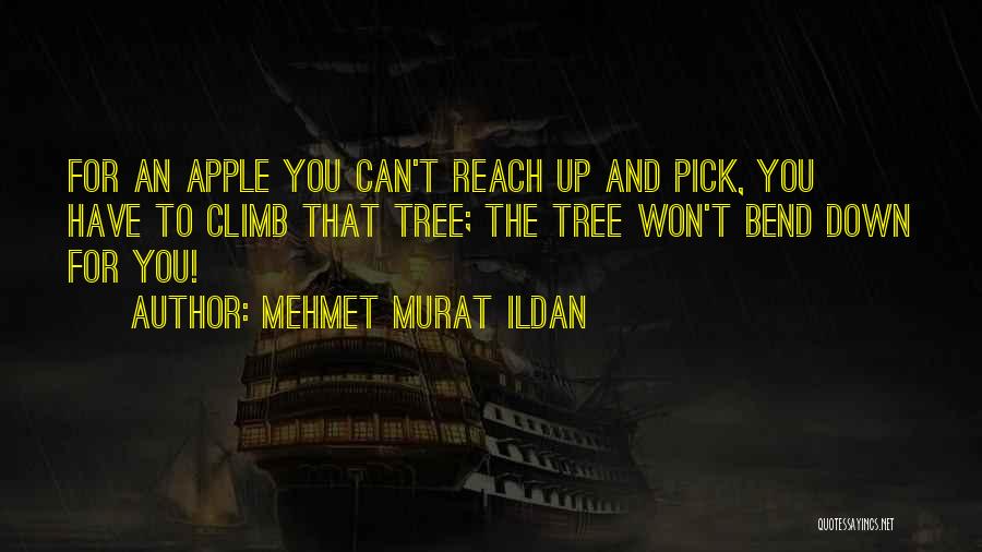Mehmet Murat Ildan Quotes: For An Apple You Can't Reach Up And Pick, You Have To Climb That Tree; The Tree Won't Bend Down