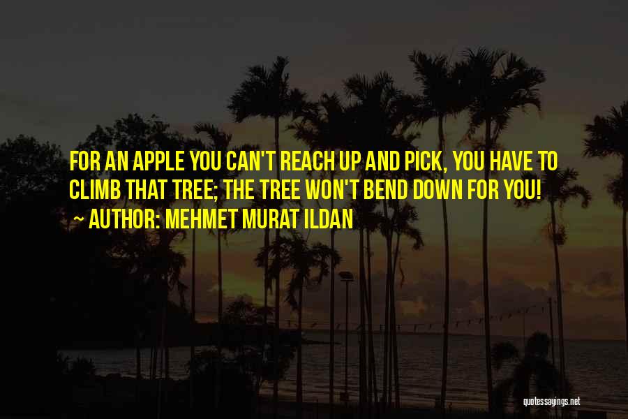 Mehmet Murat Ildan Quotes: For An Apple You Can't Reach Up And Pick, You Have To Climb That Tree; The Tree Won't Bend Down